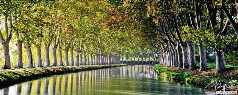 Ibis Budget Narbonne Sud A9/A61 外观 照片